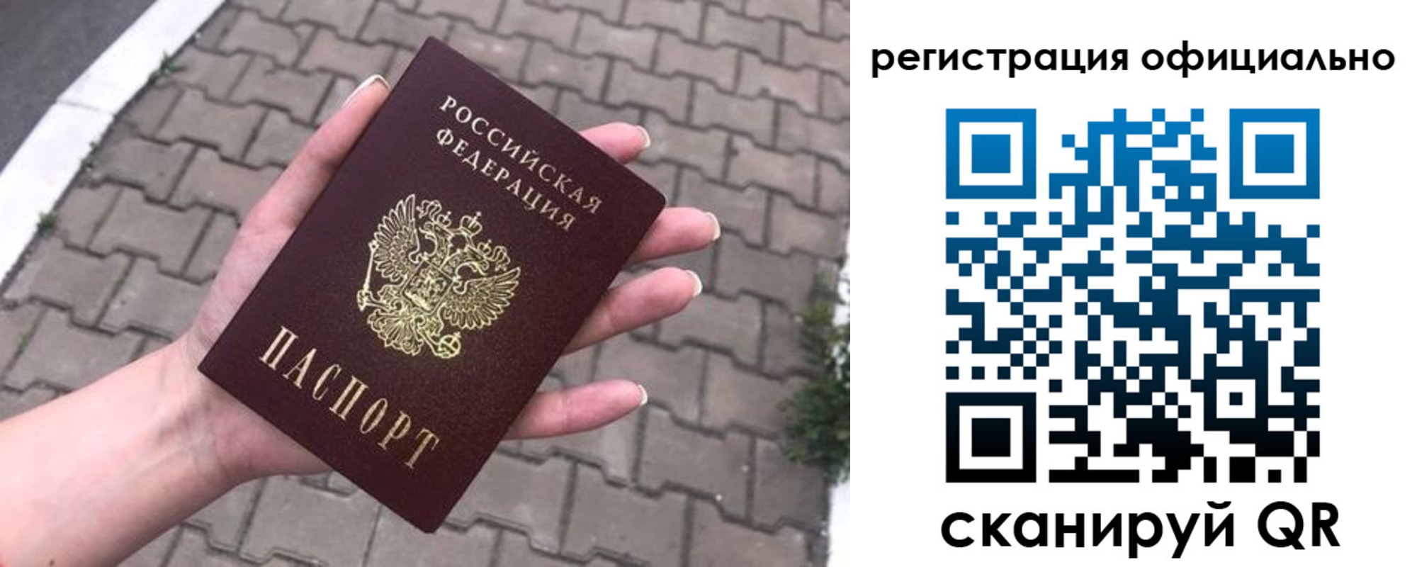 прописка 2025 в Мончегорске